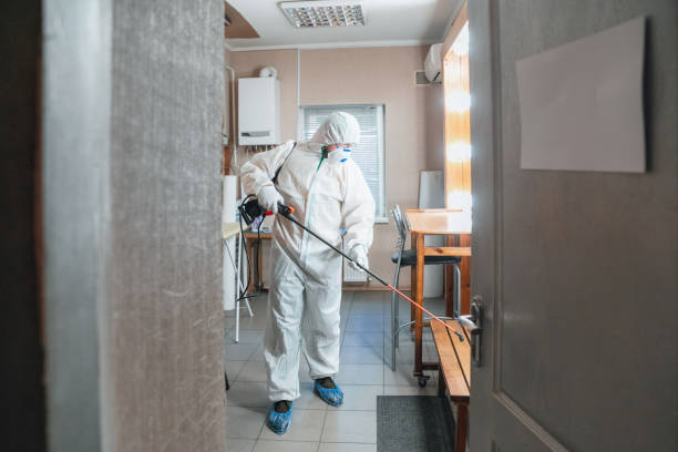 Mold Documentation for Insurance Claims in Sherwood Manor, CT